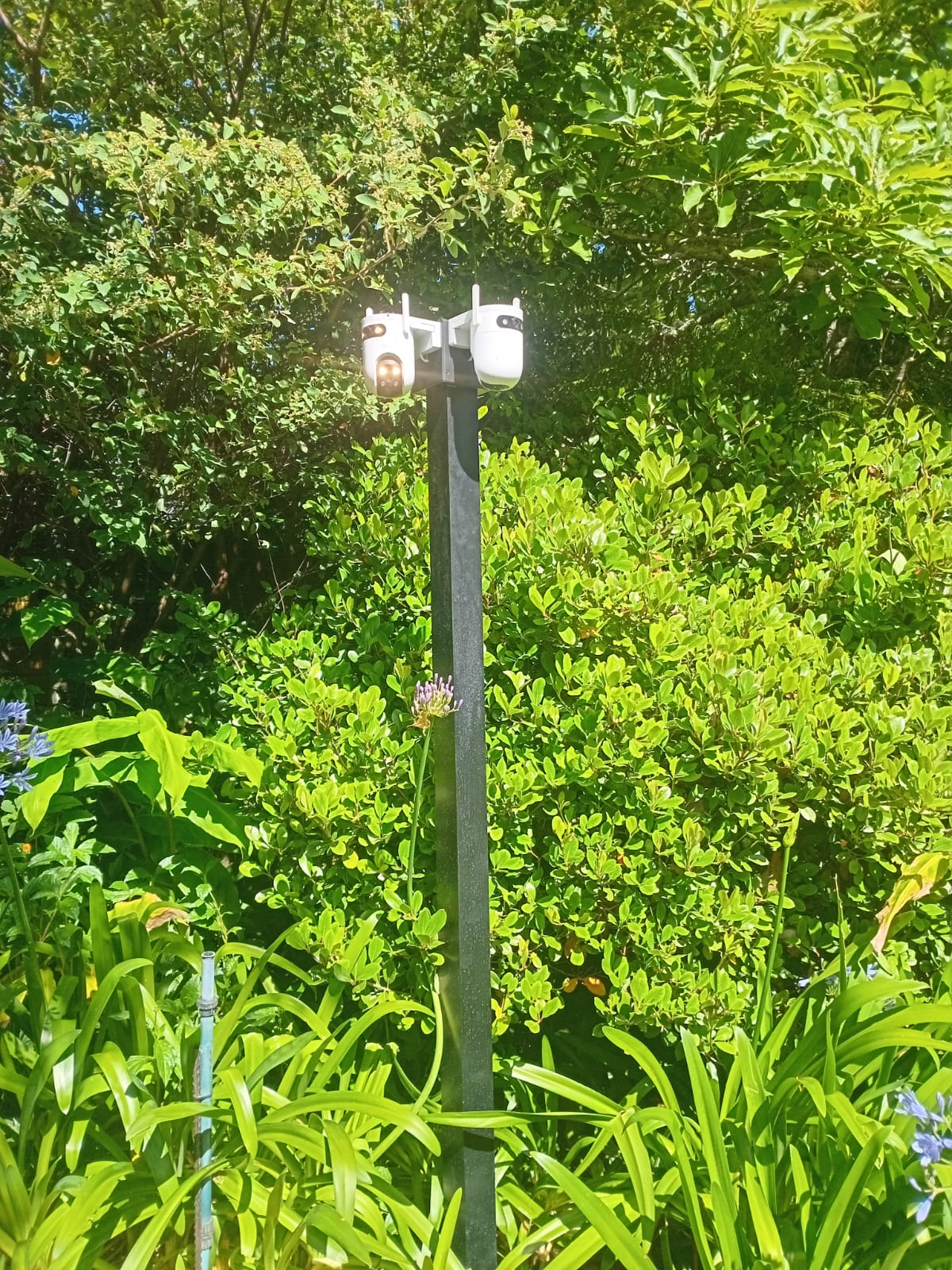Camera & Beam Poles made by WP Security, photo 5